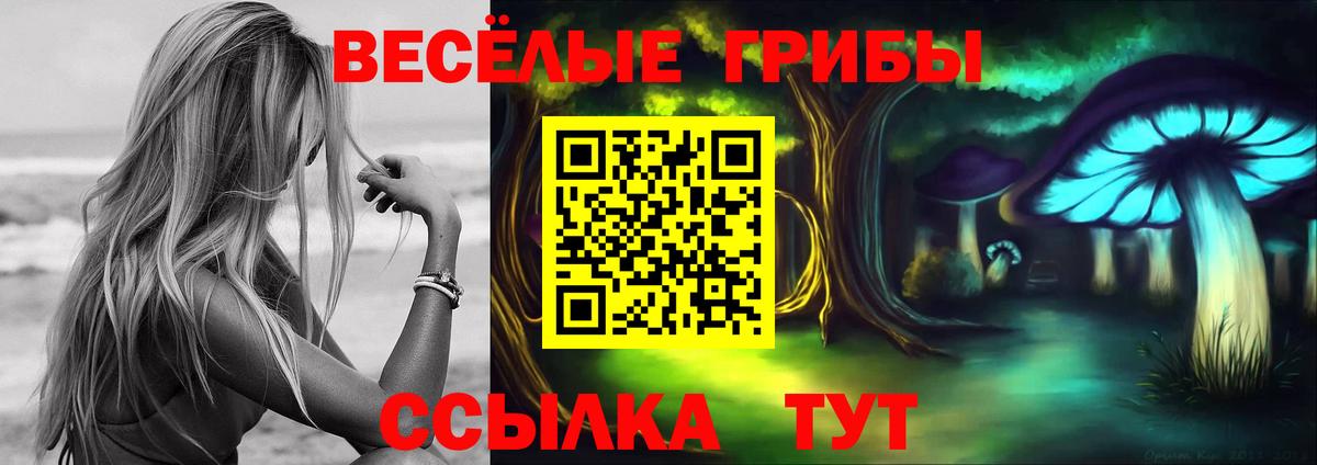 Галлюциногенные грибы GOLDEN TEACHER  Псилоцибиновые грибы мухоморы  Ростов-на-Дону  Вход с VPN 